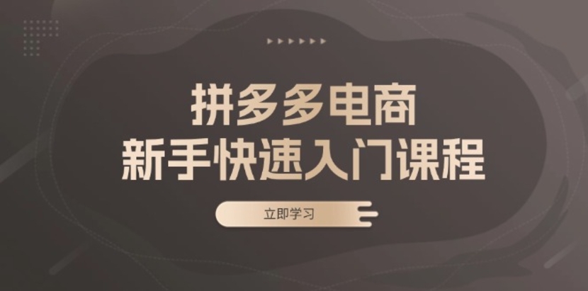 （第13152期）拼多多电商新手快速入门课程 涵盖基础、实战与选款 百度网盘下载-4241课堂网