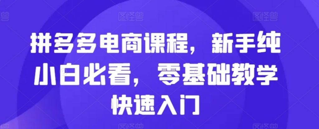 （第13139期）拼多多电商课程 新手纯小白必看，零基础教学快速入门 百度网盘下载-4241课堂网