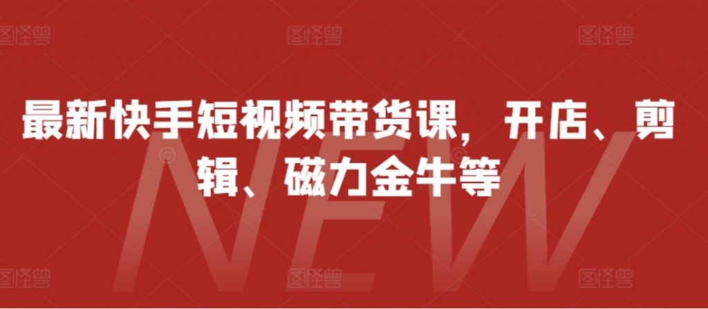 （第13041期）最新快手短视频带货课 开店、剪辑、磁力金牛等 百度网盘下载-4241课堂网