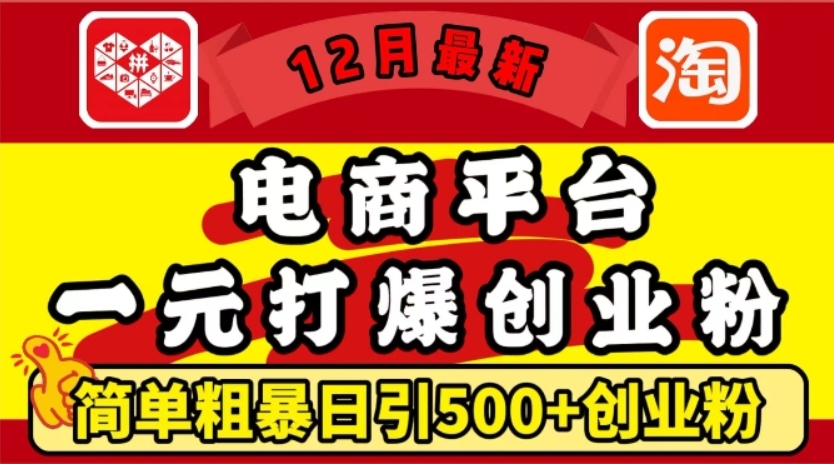 （第13955期）12月最新：电商平台1元打爆创业粉，简单粗暴日引500+精准创业粉，轻松月入过W 百度网盘下载-4241课堂网