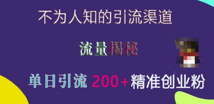 （第13894期）不为人知的引流渠道，流量揭秘，实测单日引流200+精准创业粉 百度网盘下载-4241课堂网