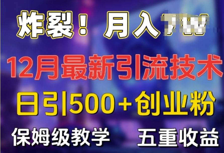 （第13775期）炸裂 揭秘12月最新日引流500+精准创业粉 多重收益保姆级教学 百度网盘下载-4241课堂网