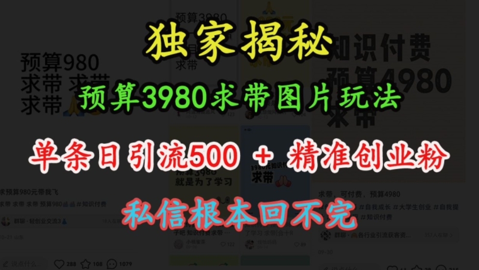 （第13741期）预算3980求带 图片玩法，单条日引流500+精准创业粉，私信根本回不完 百度网盘下载-4241课堂网