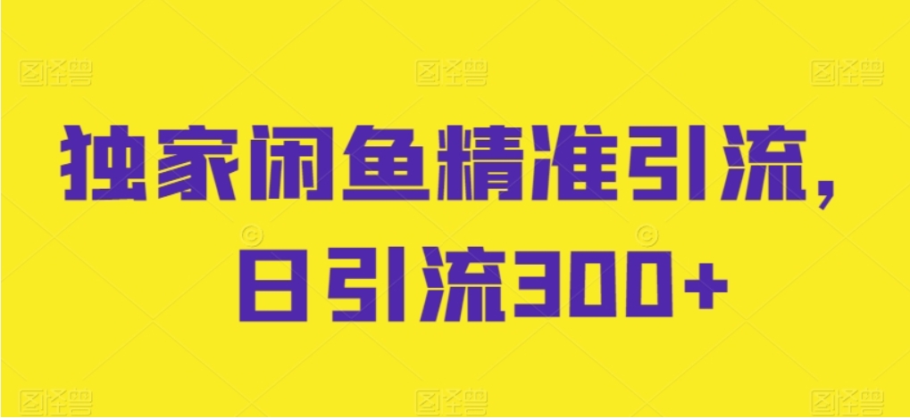 （第8281期）独家闲鱼精准引流，日引流300+ 百度网盘下载-4241课堂网