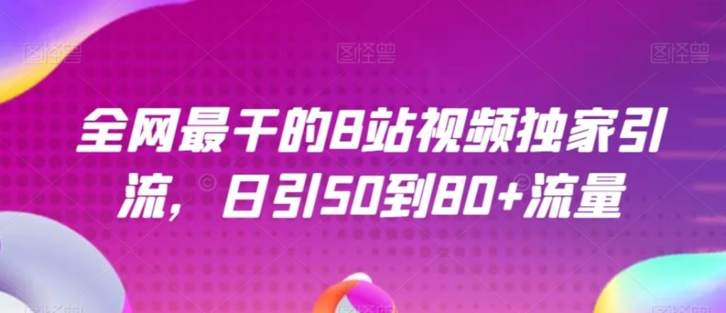 （第4292期）全网最干的B站视频独家引流 日引50到80+流量 百度网盘下载-4241课堂网