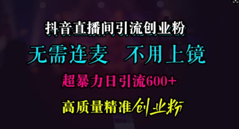 （第13208期）抖音直播间引流创业粉，无需连麦、无需上镜，超暴力日引流600+高质量精准创业粉 百度网盘下载-4241课堂网