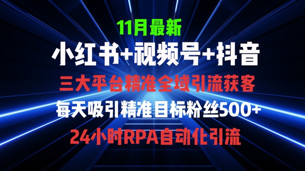 （第13079期）全域多平台引流私域打法，小红书，视频号，抖音全自动获客 百度网盘下载-4241课堂网