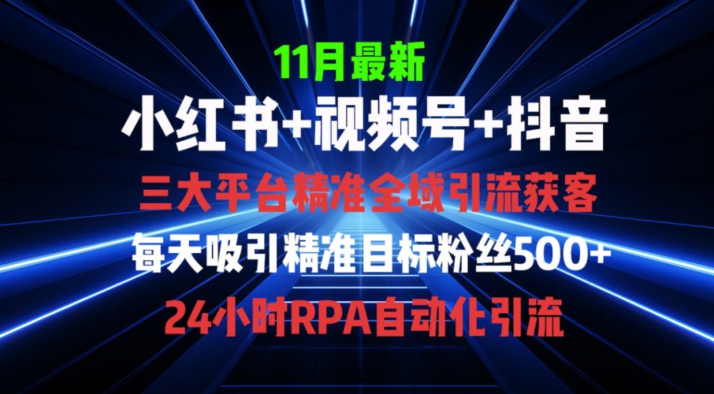 （第13079期）全域多平台引流私域打法 小红书，视频号，抖音全自动获客 百度网盘下载-4241课堂网