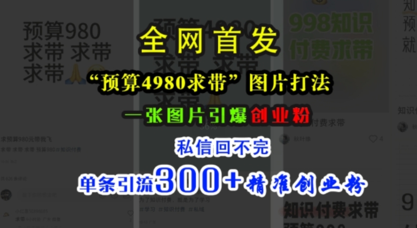 （第12954期）小红书“预算4980带我飞”图片打法，一张图片引爆创业粉，私信回不完，单条引流300+精准创业粉 百度网盘下载-4241课堂网