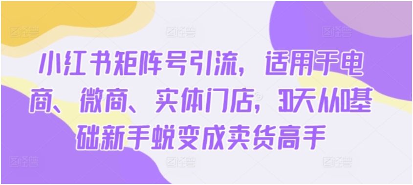 （第12457期）小红书矩阵号引流 适用于电商、微商、实体门店 30天从0基础新手蜕变成卖货高手 百度网盘下载-4241课堂网