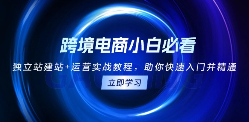 （第13618期）跨境电商小白必看 独立站建站+运营实战教程，助你快速入门并精通 百度网盘下载-4241课堂网