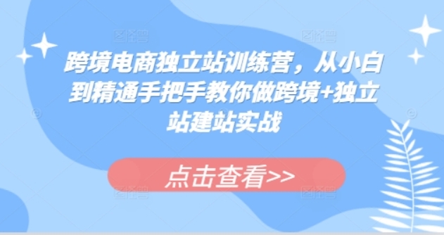 （第13610期）跨境电商独立站训练营 从小白到精通手把手教你做跨境+独立站建站实战 百度网盘下载-4241课堂网