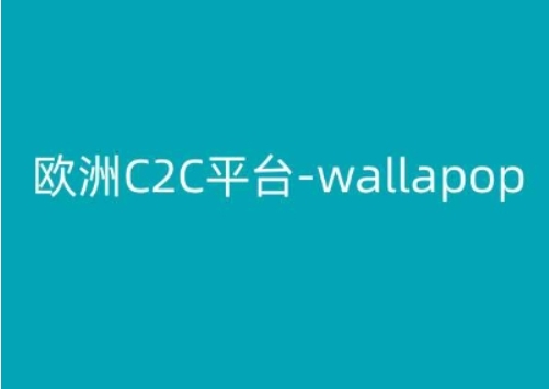 （第9255期）欧洲C2C平台-wallapop-kim跨境电商教程 百度网盘下载-4241课堂网